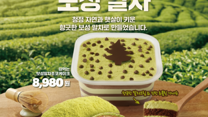 신세계푸드 보성말차 신제품 케이크와 크루아상 2종