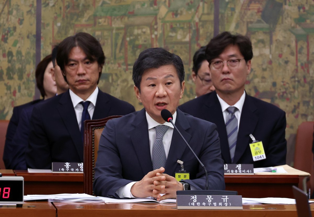 국정감사에 참석한 정몽규, 홍명보, 이임생
