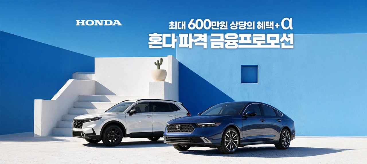 8월 프로모션