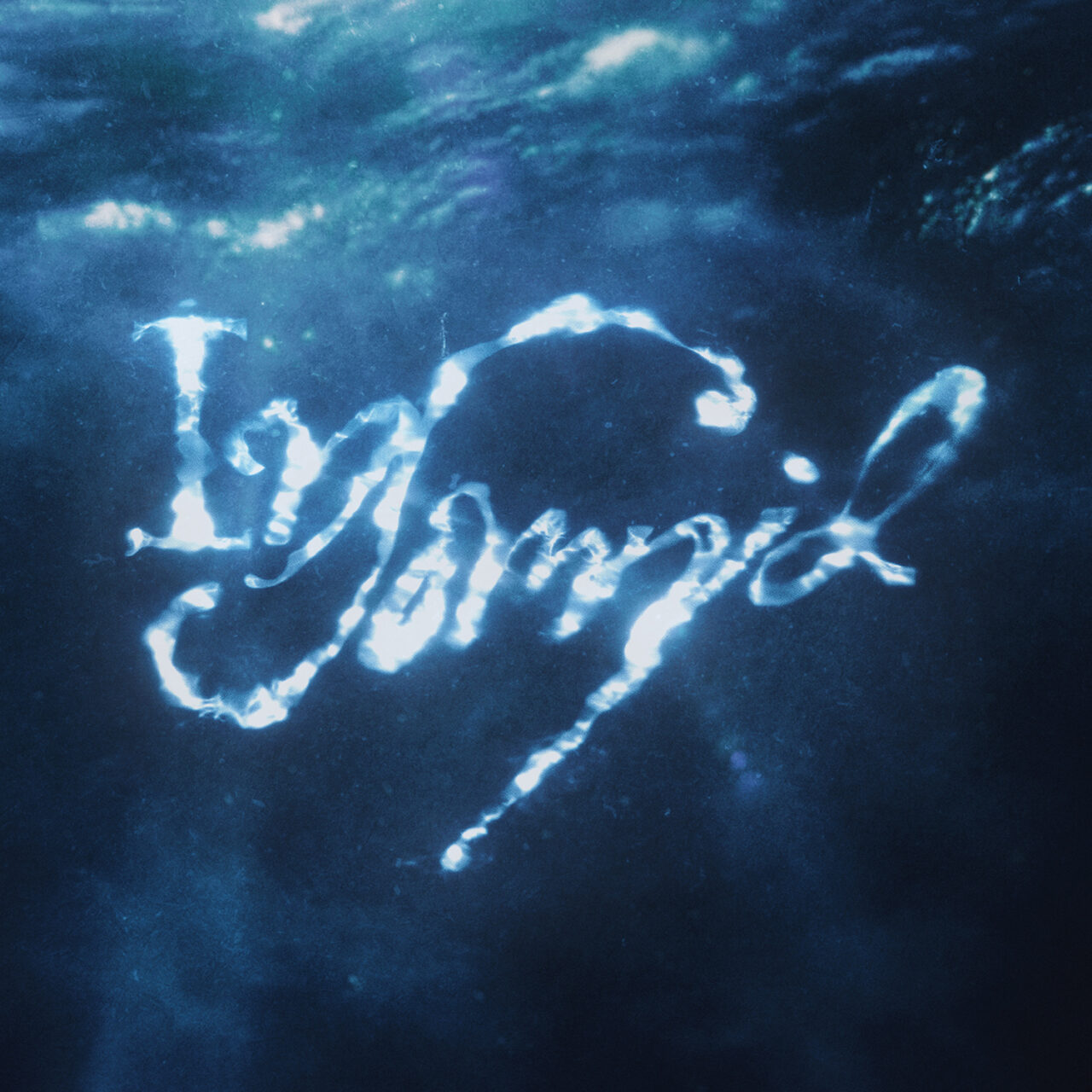 라이즈 신보 'Insomnia'